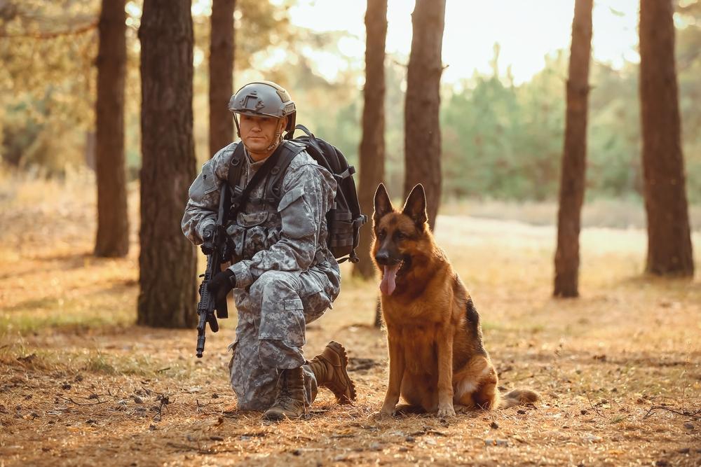 Un soldat en uniforme accroupi dans une forêt, tenant un fusil, avec un berger allemand assis à ses côtés.