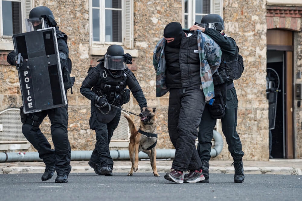 Interpellation par des membres du RAID avec un chien policier.