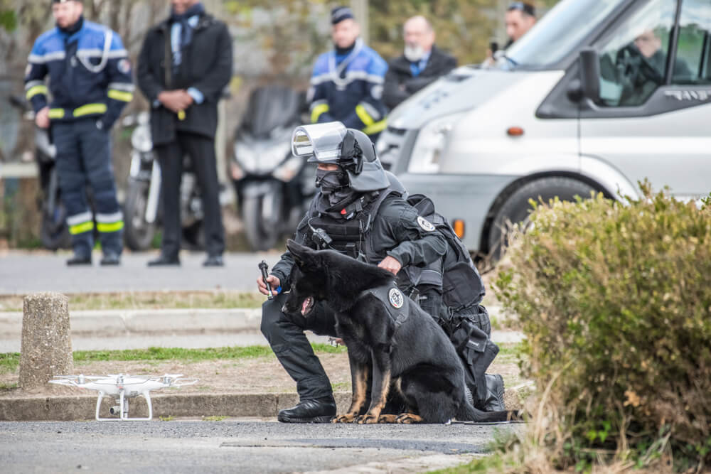 Policier maître-chien – Travailler en binôme avec un chien au service de la sécurité