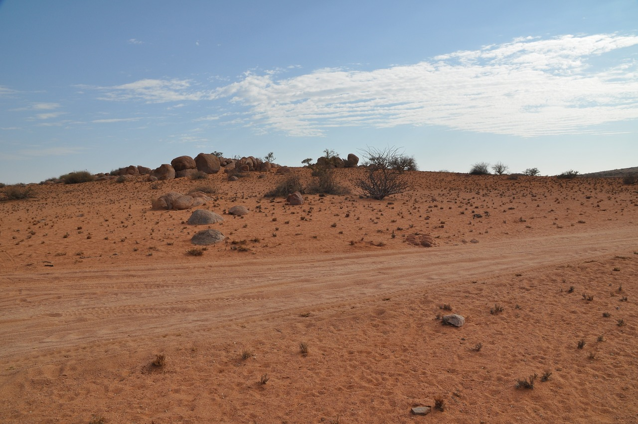 Un paysage désertique en Afrique avec un sol sablonneux, des rochers dispersés et quelques arbustes secs. Une piste de terre traverse la scène sous un ciel bleu parsemé de quelques nuages.